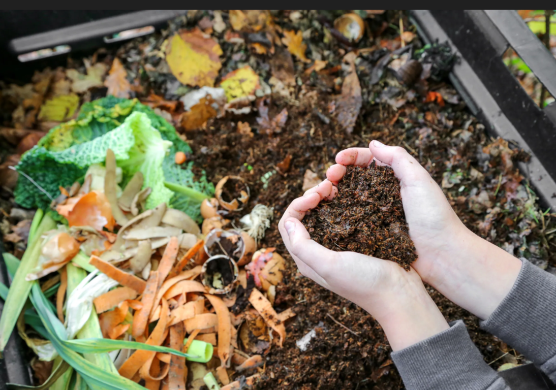 Compostons au CPA Maurice Ravel !