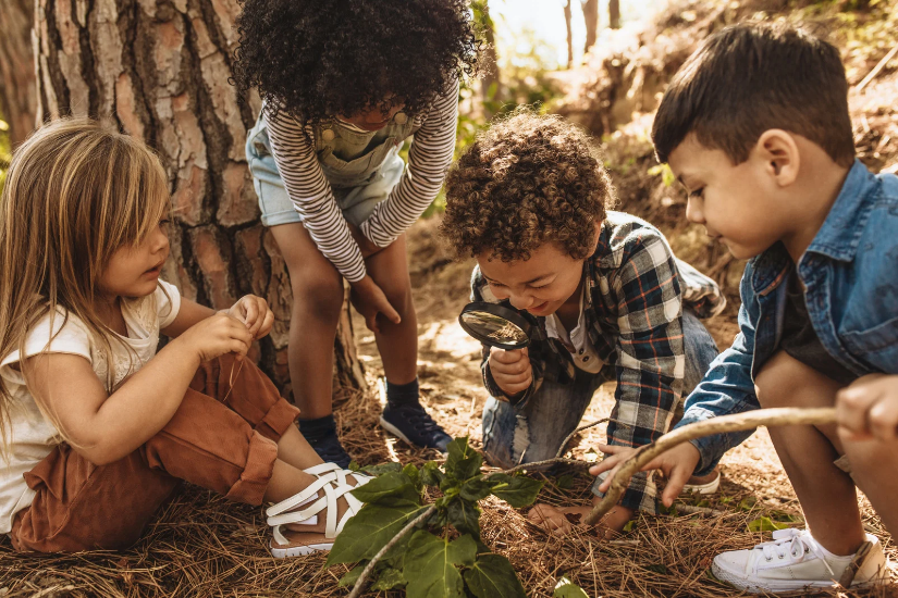 Stage aventuriers de la forêt 6-11 ans 🌳