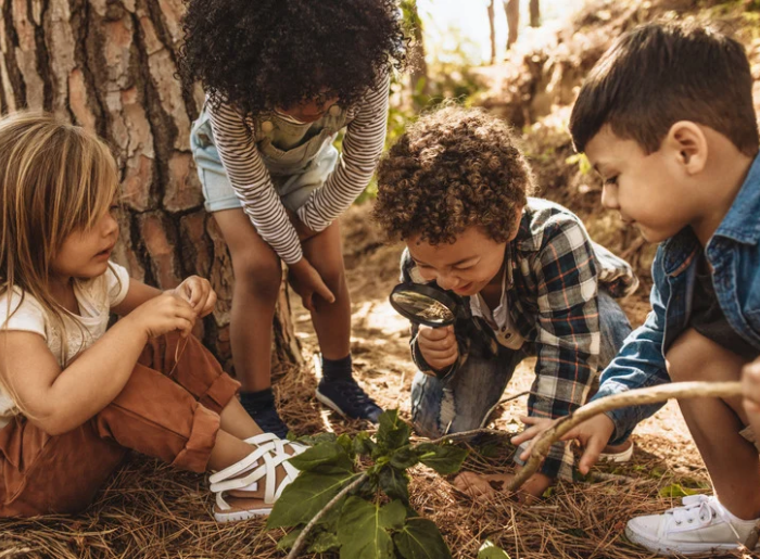 Stage aventuriers de la forêt 6-11 ans 🌳