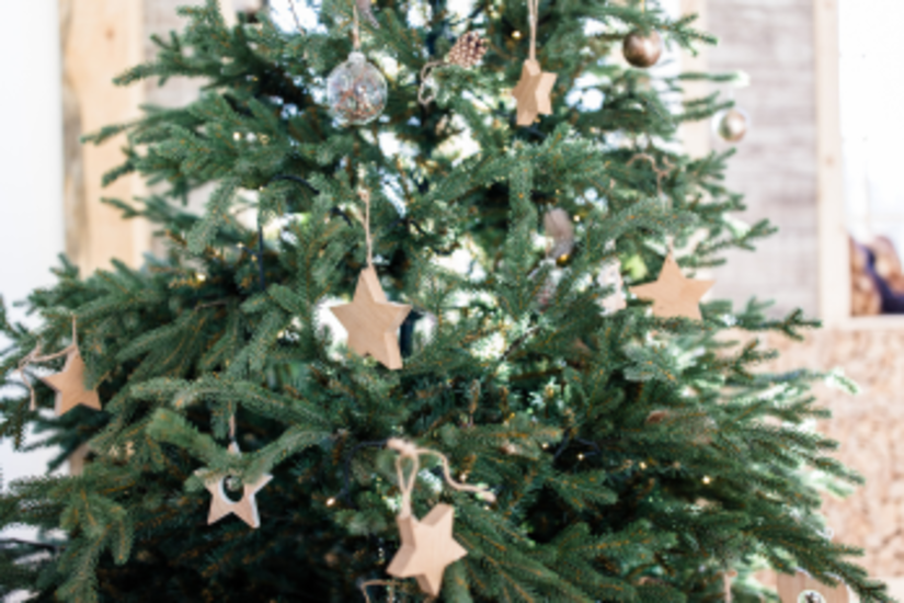 Stage poterie & arts plastiques 6-11 ans 🎨