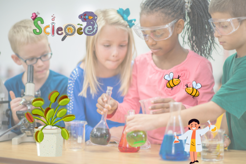 Stage petits scientifiques 6-11 ans 