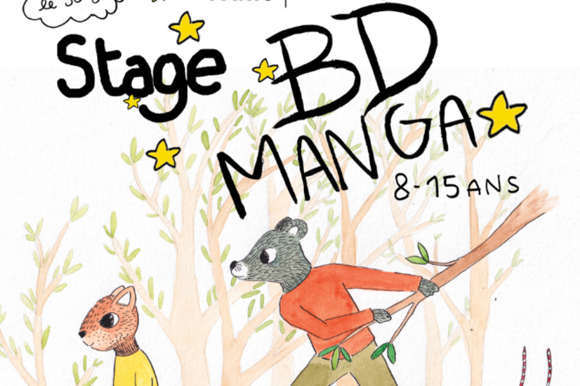 Stage BD manga 8-15 ans 🗯