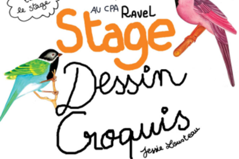 Stage dessin & croquis 8-15 ans ✏