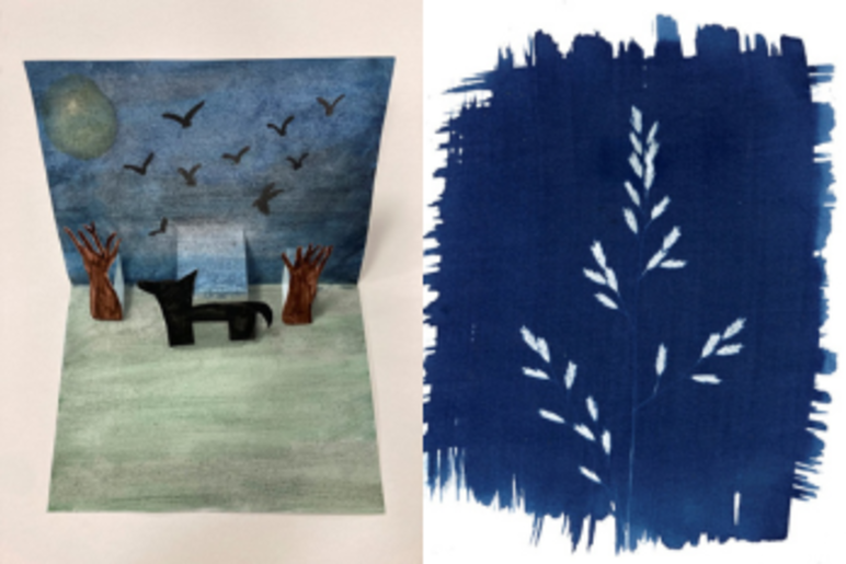 Stage arts plastiques dessin, peinture pop-up et découverte du cyanotype 6-12 ans 🎨