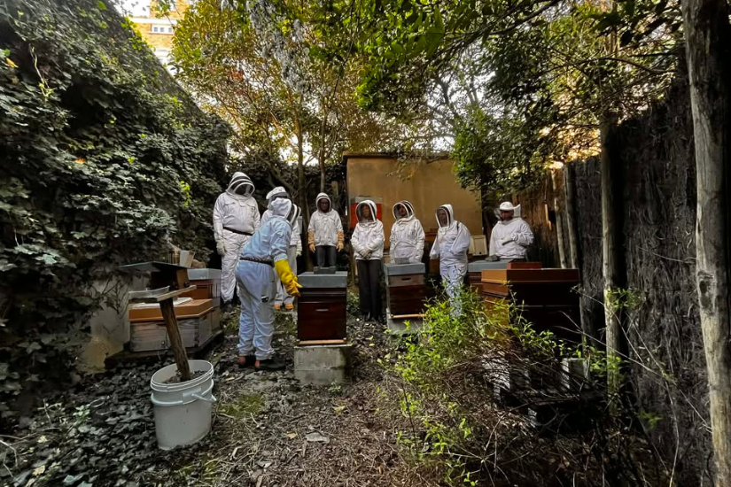 Atelier collecte du miel de La Rue Verte 🍯