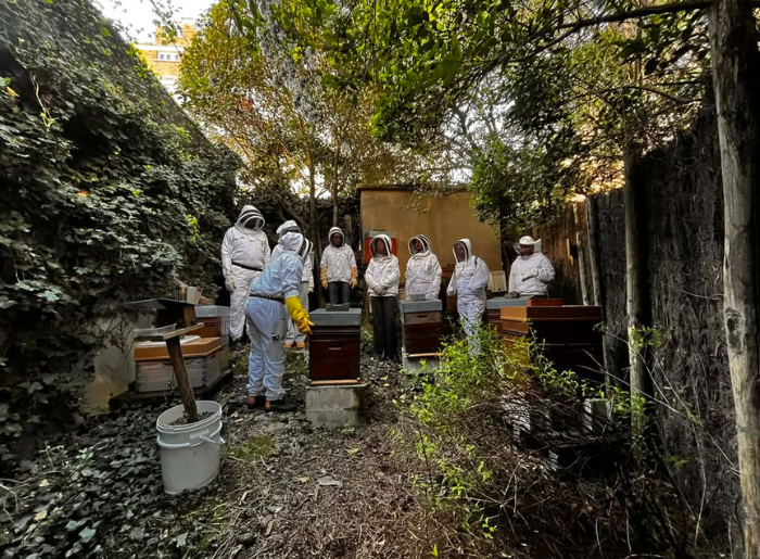 Atelier collecte du miel de La Rue Verte 🍯